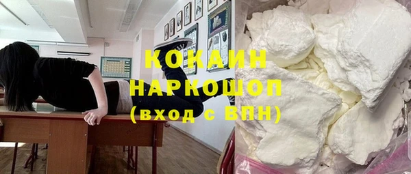 индика Вуктыл
