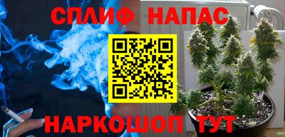 стафф Кимры
