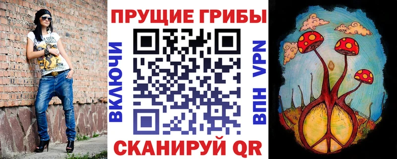 omg зеркало  даркнет сайт  Костомукша  Галлюциногенные грибы MAGIC MUSHROOMS 